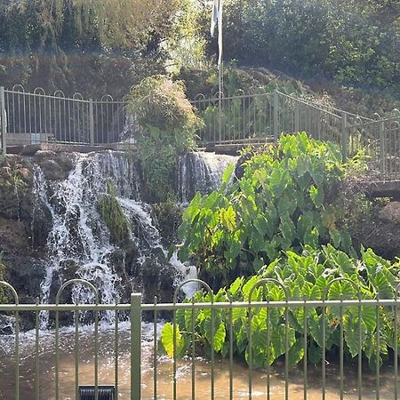 צימר יערת הדבש Hagoshrim Extérieur photo